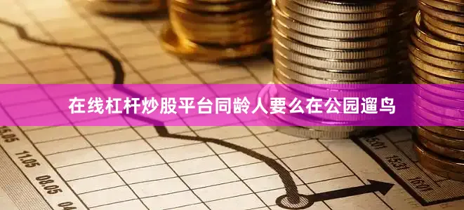 在线杠杆炒股平台同龄人要么在公园遛鸟